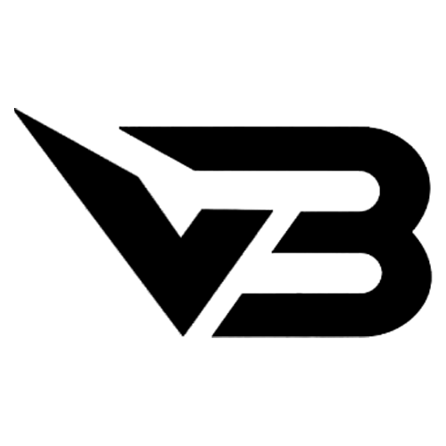 Logo ViBe Gaming