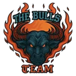 logo the bulls team