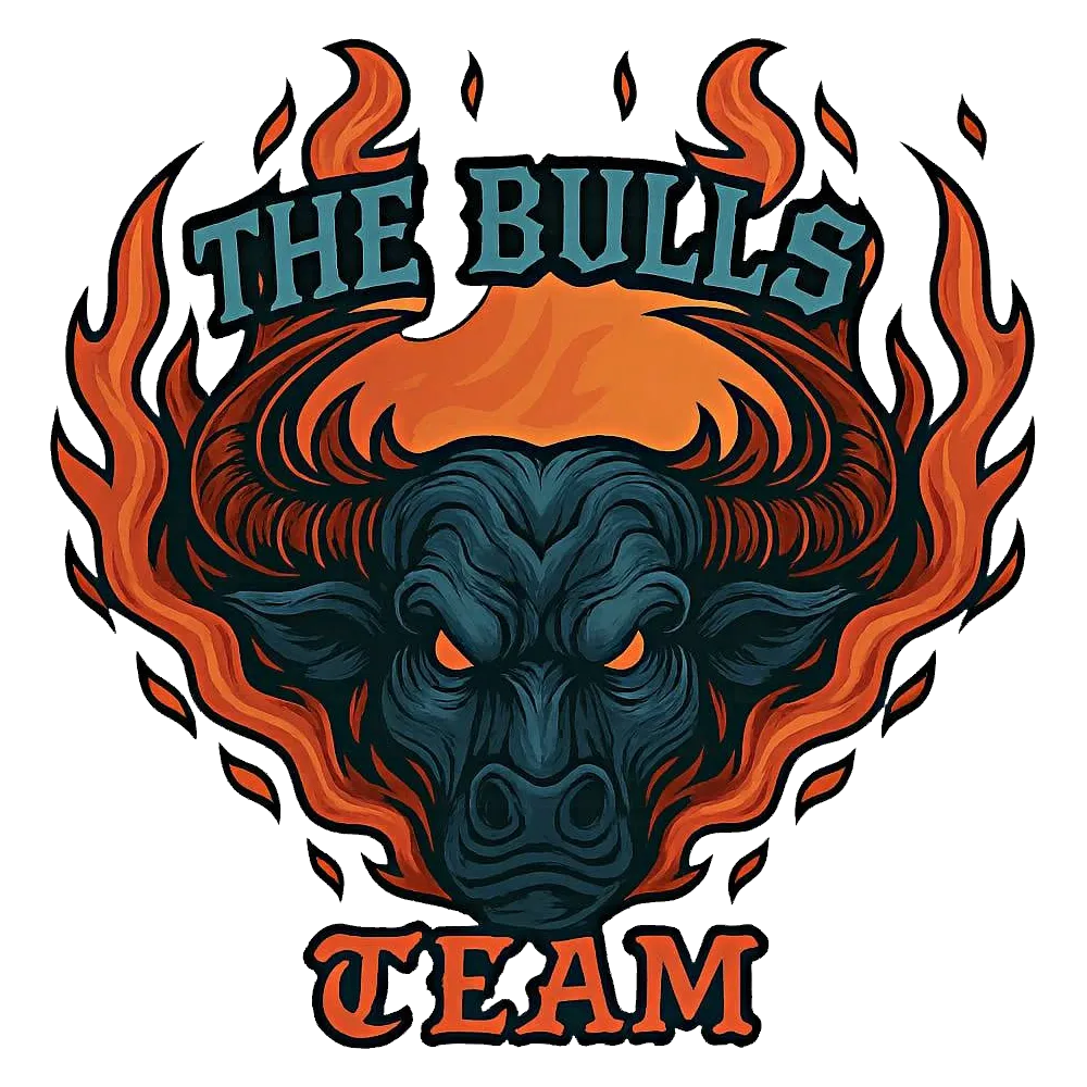 logo the bulls team